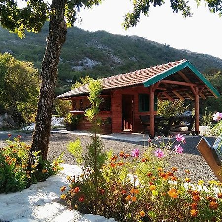 Hotel Camp Oaza,Lipa Cetinje Esterno foto