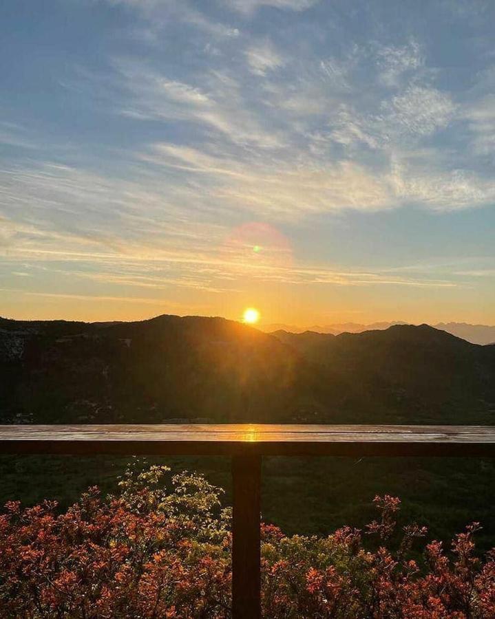 Hotel Camp Oaza,Lipa Cetinje Esterno foto