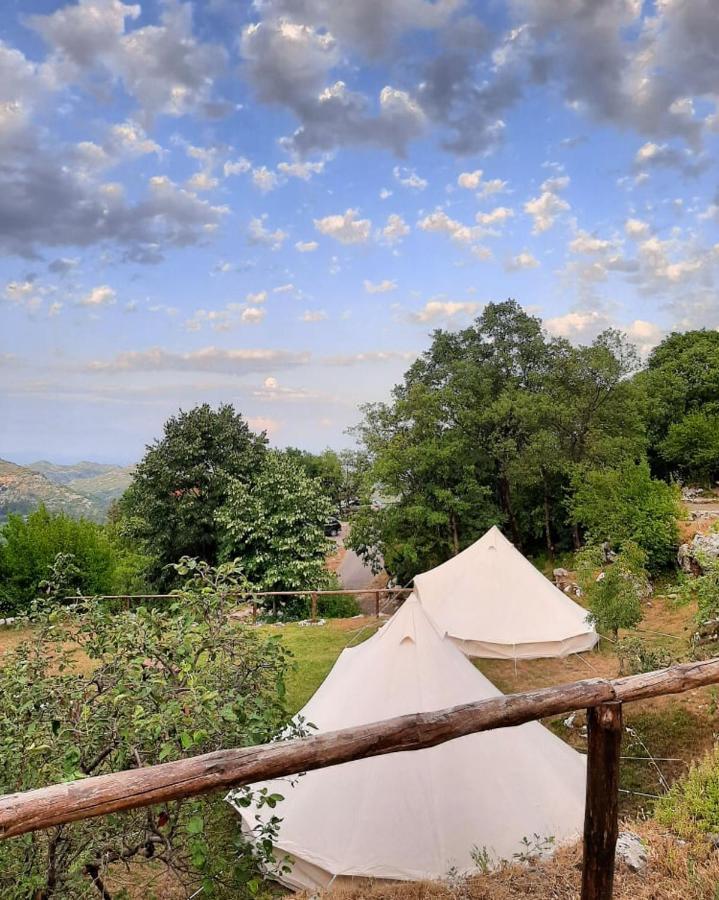 Hotel Camp Oaza,Lipa Cetinje Esterno foto