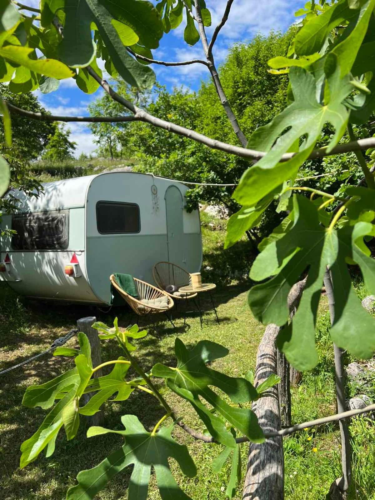 Hotel Camp Oaza,Lipa Cetinje Esterno foto